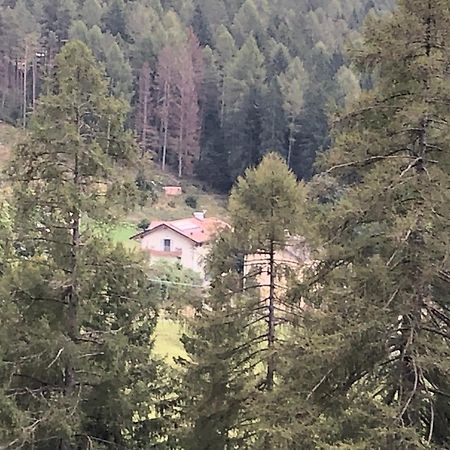 B&B Le Stagioni Di Stava Tesero Eksteriør billede