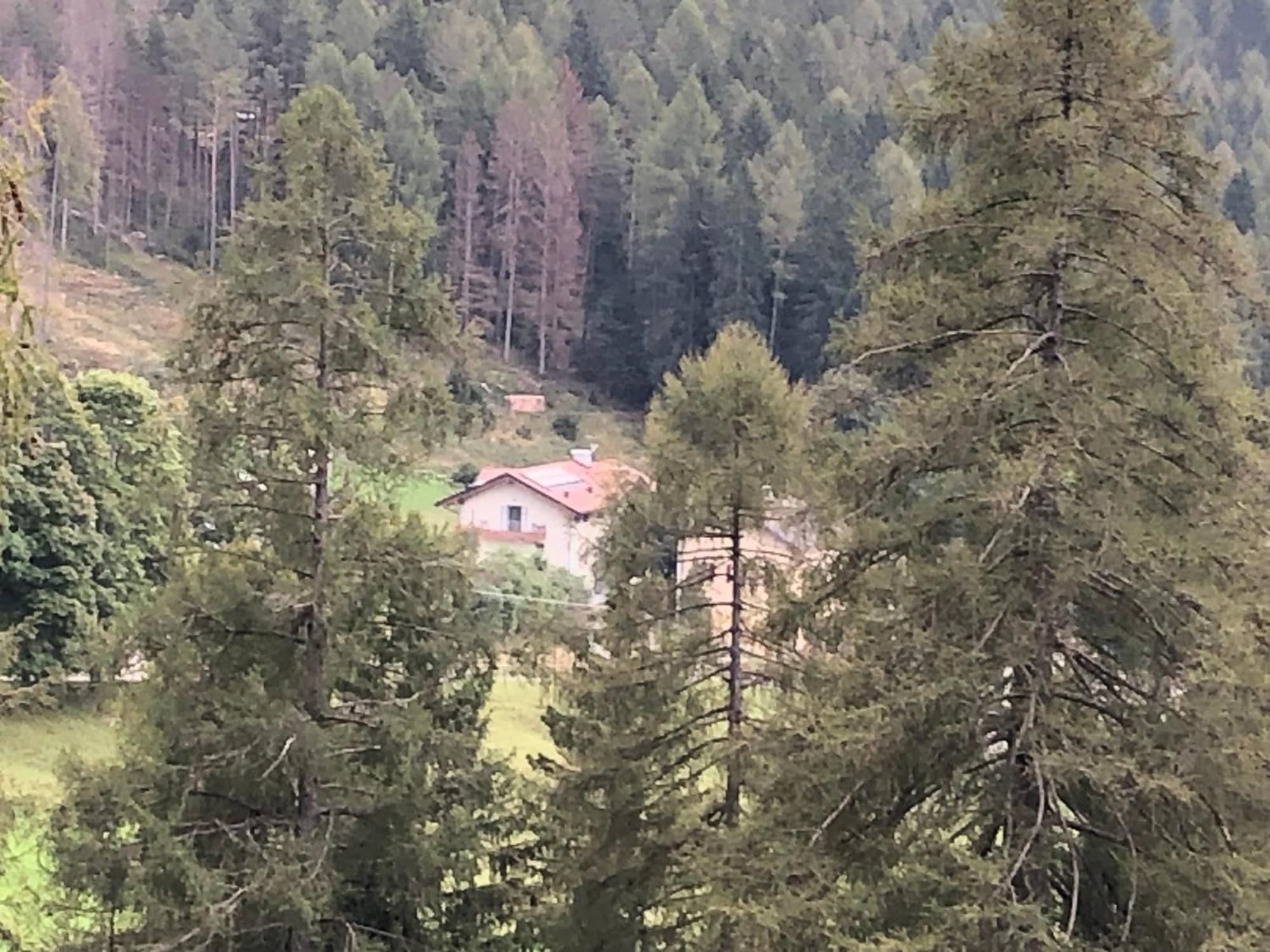 B&B Le Stagioni Di Stava Tesero Eksteriør billede