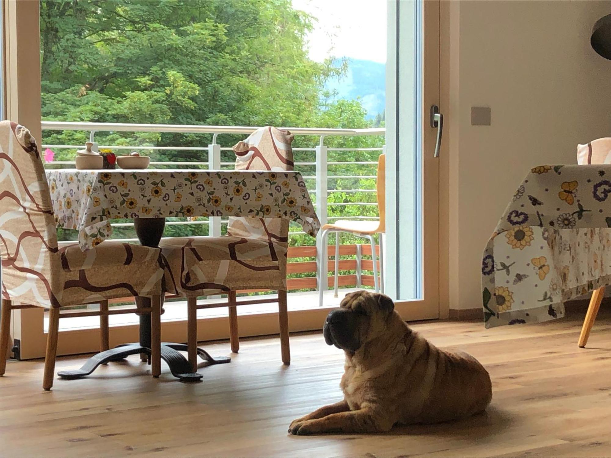 B&B Le Stagioni Di Stava Tesero Eksteriør billede